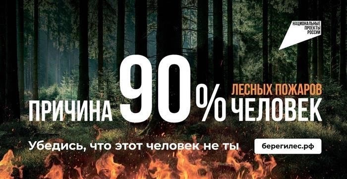 Как прокуратура Калуги рассматривает правонарушения, связанные с алкоголем