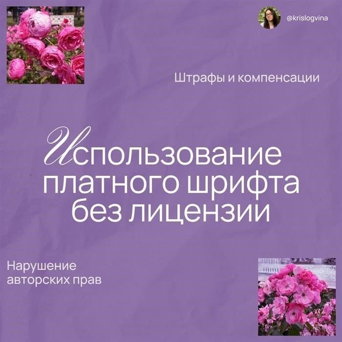 Сфера применения трудовой дисциплины, регулируемая директивой