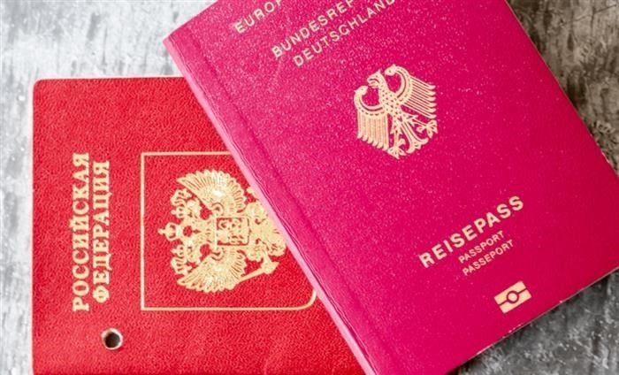 Как указать самозанятость в заявлении на получение паспорта?