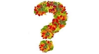 Как работает соглашение о межевании земельного участка?