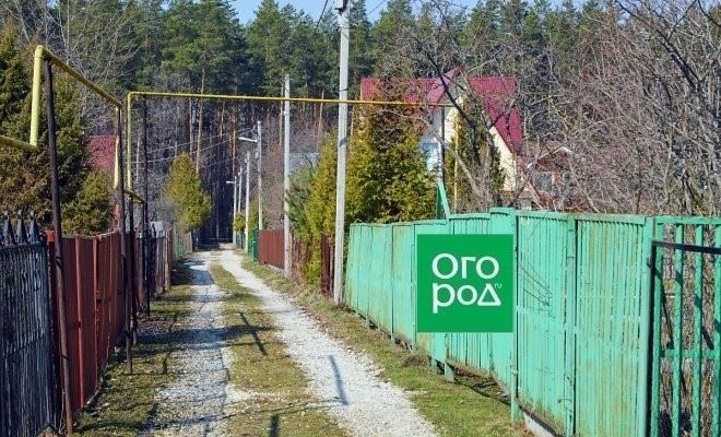 Пошаговое руководство по открытию ПКТ в 2024 году