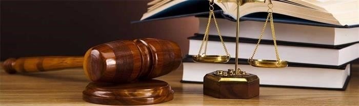 Отслеживание статуса заявки через официальные порталы
