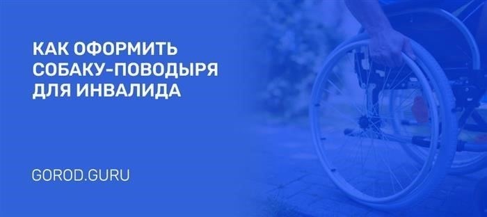 Подача заявления через портал ГосУслуги