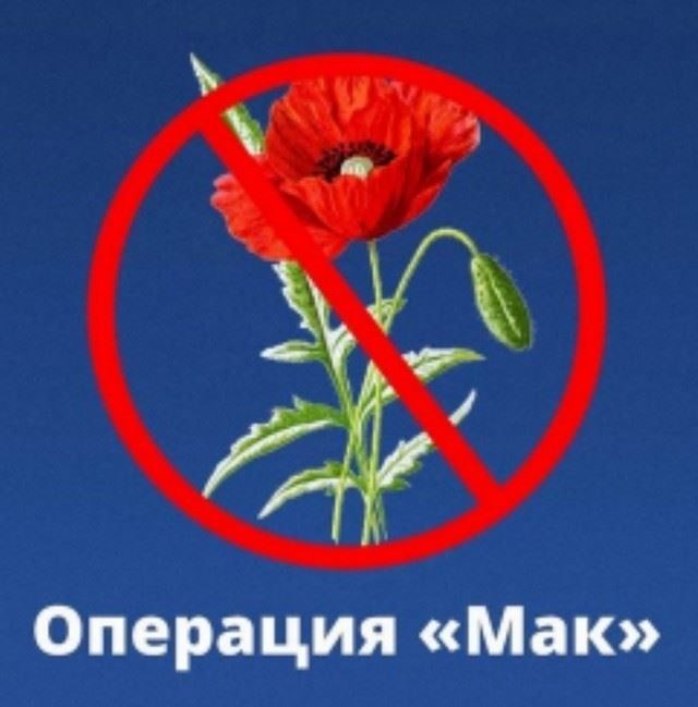 Информация об операции МВД России совместно с антинаркотической комиссией администрации Каменского района - 