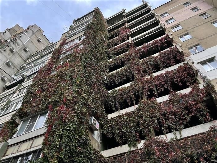 Жителям Ставрополья напомнили о краевом законе о тишине