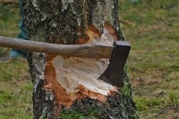 Местные органы власти