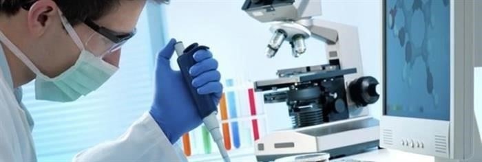 Последовательность экологической оценки, проводимой нашей организацией