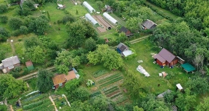 Стоит ли отказываться от бесплатных лекарств: Мнения экспертов