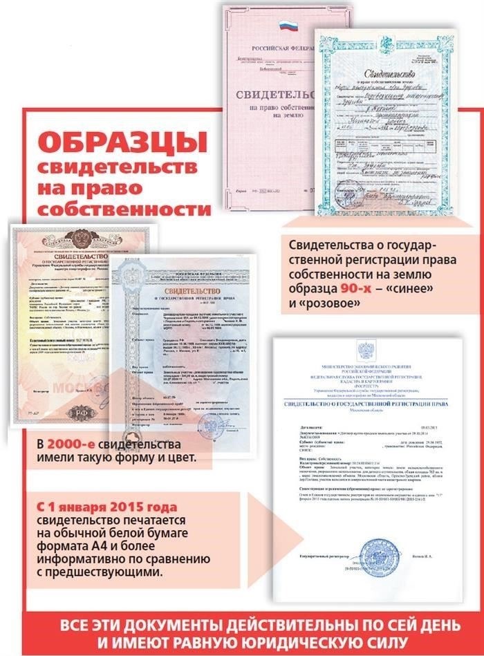 Оплата наличными: Что нужно знать