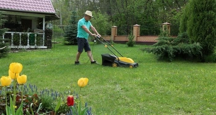 Роль завещаний в распределении наследства