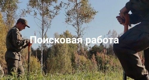 VOV без срока действия: Что это такое и как это будет работать в 2025 году?